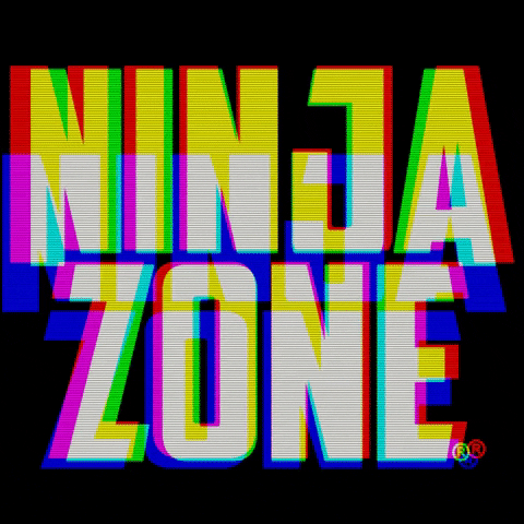 NinjaZone giphygifmaker ninja ninjazone GIF