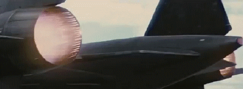 blackbird GIF
