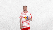 Red Bull Football GIF by RB Leipzig