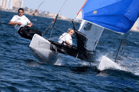 1Dsails regatta 1dsails catsailing f18sailing GIF