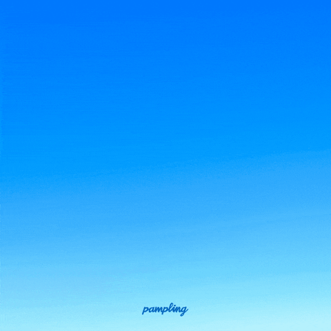 GIF by Pampling