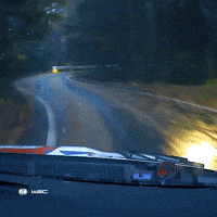 Crash GIF by FIA World Rally Championship