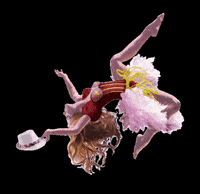 vidantaworld cirque du soleil Ludo vidantaworld cirque du soleil ludo GIF