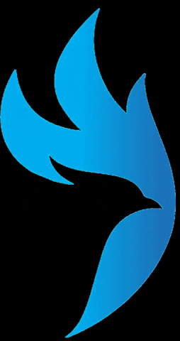 DigitalRiders riders digital riders digitalriders GIF