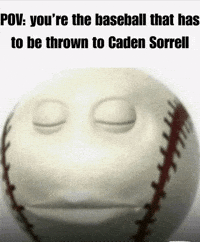 Thatguygoose GIF