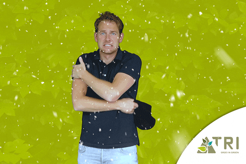 Boom Plant GIF by TRI Groei in Groen