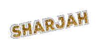 Sharjah Sticker by dj sadcat