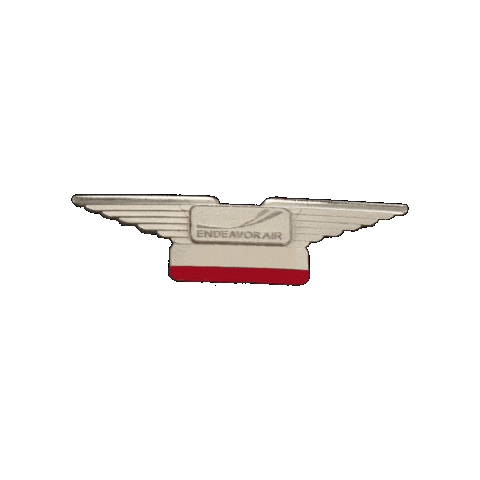 Fly Flying Sticker by Endeavor Air