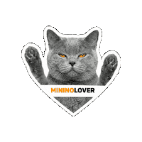 Seguroesporminino Sticker by Minino Plus®