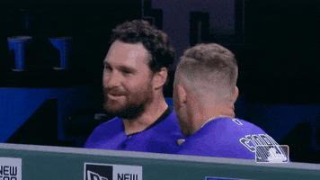 major league baseball sport GIF by MLB