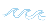 summer water Sticker by bartacolife
