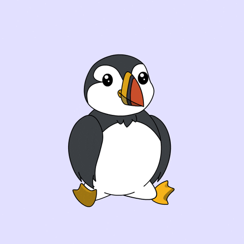 puffinsdotfun giphyupload sport workout gym GIF