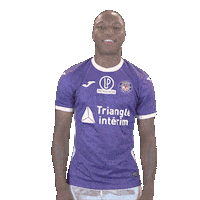 Stadium Occitanie Sticker by Toulouse Football Club