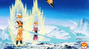 Shiba Inu GIF by SHIB MEMES