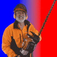 Wild-Panda schnee putzen polieren gebäudereinigung GIF