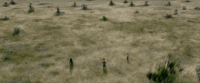a wrinkle in time fantasy GIF by Walt Disney Studios