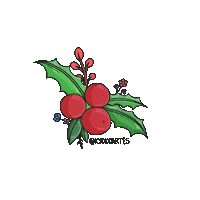 Christmas Flowers Sticker