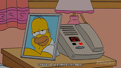 the simpsons picture GIF