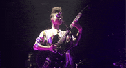 lianne la havas GIF by Webster Hall