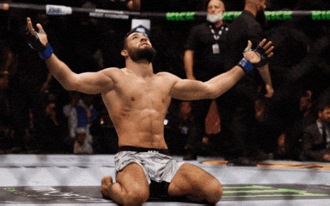 Fight Ufc GIF by promaslist