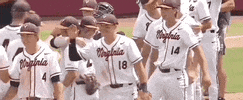 World Series Baseball GIF by NCAA Championships