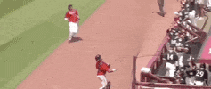 World Series Baseball GIF by NCAA Championships