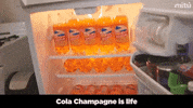 el salvador cola champagne GIF by walter_