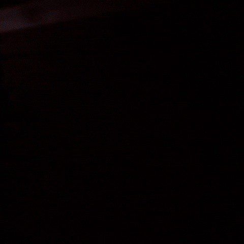 Red Bull Plane GIF by Red Bull Racing