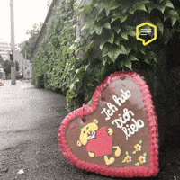 Austria Fest GIF by Linz News