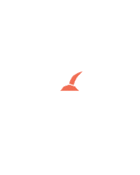 Beach Holiday Sticker by Daycation