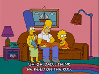 homer simpson GIF