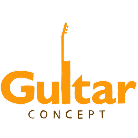 GuitarConcept giphyupload guitar concept Sticker