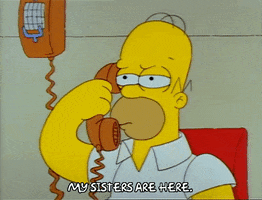 Season 1 GIF by The Simpsons
