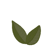 Twigrazor Sticker by Leaf Shave