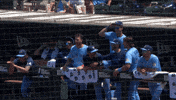 Celebrate Blue Jays GIF by Toronto Blue Jays