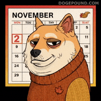 Judging Shiba Inu GIF by Doge Pound