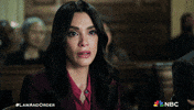 Episode 1 GIF by Law & Order