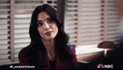 Season 5 Nbc GIF by Law & Order