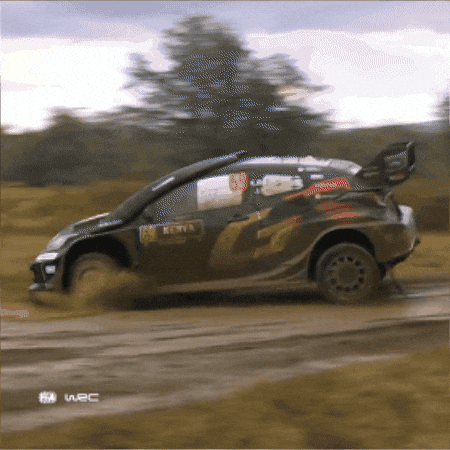 Skills Driving GIF by FIA World Rally Championship