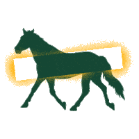 Baylor Bears Bu Sticker by Baylor Athletics