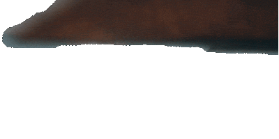 Flying Team Black Sticker by Game of Thrones