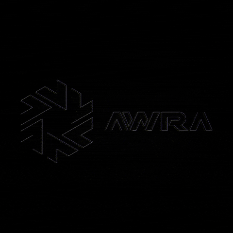 AWRABrasil giphygifmaker awra GIF