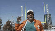 Miami Dolphins Football GIF by Dolfans NYC