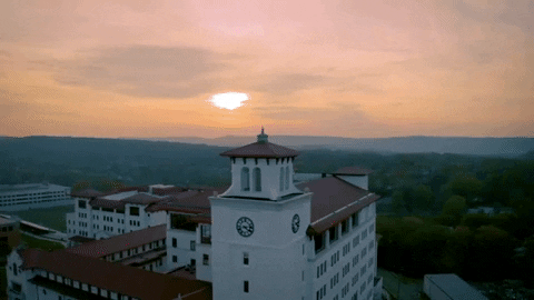 bullaye2 giphygifmaker montclair GIF