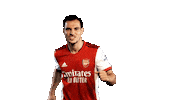 Celebrate London Sticker by Arsenal