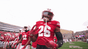 Big Ten Dance GIF by Wisconsin Badgers