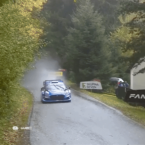Ford Speed GIF by FIA World Rally Championship
