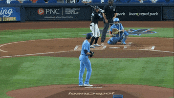 Pitching Blue Jays GIF by Toronto Blue Jays