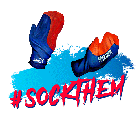 india winning Sticker by Puma