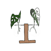 Plant Sticker by Monstera Mania